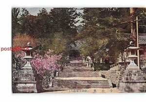 Xr6830●大阪 観心寺【絵葉書】