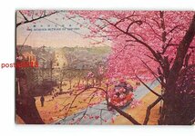 xu3528●東京赤坂見附の桜【絵葉書】_画像1