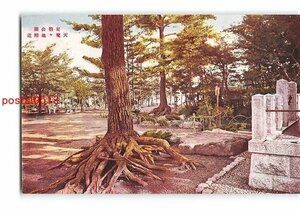 Xw5837●福井 足羽公園 天魔ヶ池付近【絵葉書】