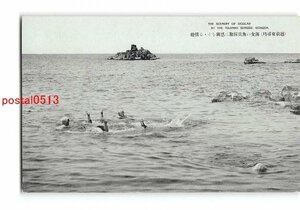 Xu9898●福井 越前東尋坊 海女の魚貝採取に感興をそそる情趣【絵葉書】