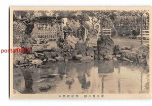 xv7727●静岡 天然記念物 浄の池全景 *折れ有り【絵葉書】