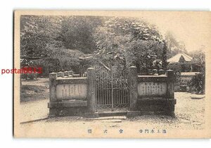 xu2863●東京池上本門寺 会式桜【絵葉書】