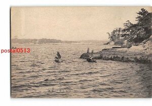 Xw6704●神奈川 江の島名勝 西浦海岸の美観【絵葉書】