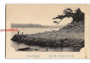 Xu7436●神奈川 江の島西浦海岸琴引松【絵葉書】