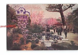 Xw9291●奈良 吉野山 竹林院 群芳園の桜 エンタイア *傷み有り【絵葉書】