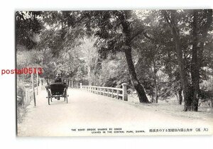 XyA8578●満州 大連 中央公園内緑樹繋る下の虎渓橋【絵葉書】