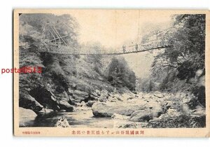 Xx4540●徳島 阿波国祖谷山かずら橋実景の記念【絵葉書】