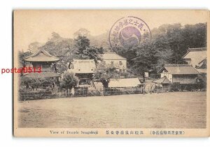 Xx7306●東京 芝高輪泉岳寺 万松山泉岳寺全景【絵葉書】