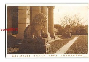 XyB3540●満州 関東庁博物館陳列品 石彫獅子 高9尺5寸 北京松公府より将来【絵葉書】
