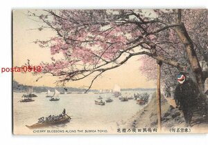 Xx5477●東京 手彩色 東京名所 向島隅田堤の桜花 *剥離有り【絵葉書】