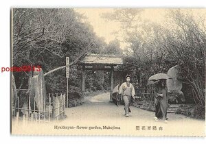 XyD2598●東京 向島百花園【絵葉書】