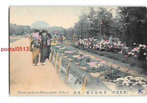 XyC4476●東京 手彩色 東京名所 日比谷公園の花壇【絵葉書】