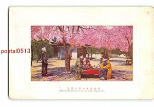 XyD4172●愛媛 伊予道後公園の桜花 *傷み有り【絵葉書】