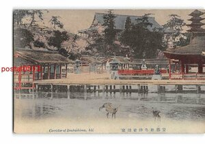 XyC1197●広島 手彩色 安芸厳島神社廻廊 エンタイア【絵葉書】