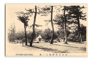 XyE0917●富山 滑川町 清水花壇庭園の一境 *傷み有り【絵葉書】