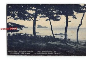 XyD5701●徳島千鳥ヶ浜より飛島の眺望 鳴門【絵葉書】
