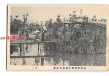 XyF4903●千葉 木更津常盤公園海水浴場 その2 *傷み有り【絵葉書】_画像1