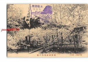 XyF4020●兵庫 花の名所 その8 龍野神社境内の桜 *傷み有り【絵葉書】