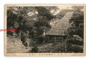 XZJ4674●東京 八丈島 大賀郷村宗福寺の大銀杏 *傷み有り【絵葉書】