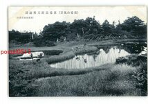 XyJ4895●新潟 苗場山風景 苗場高原天然庭園 *傷み有り【絵葉書】_画像1