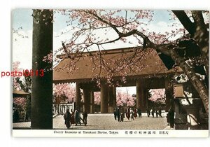 XyK9670●東京 大東京 靖国神社の桜花 *傷み有り【絵葉書】