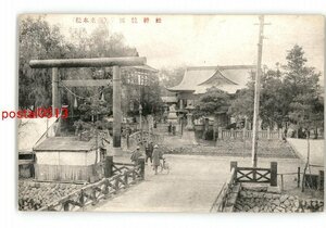 XyM3288●長野 松本名所 四柱神社 *傷み有り【絵葉書】