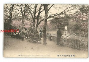 XyM0091●東京 手彩色 靖国神社境内の桜 *傷み有り【絵葉書】