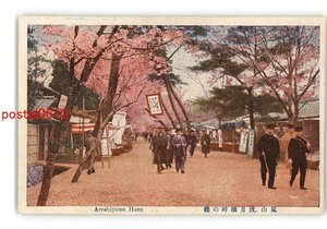 XyN1960●京都 嵐山 渡月橋畔の桜 *傷み有り【絵葉書】
