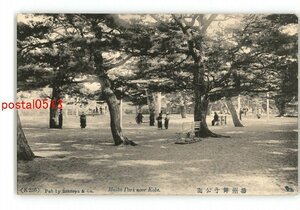 XyM8352●兵庫 播州舞子公園 *傷み有り【絵葉書】