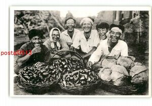 XyN5687●満州 農業移民 茄子甘藍の収穫の喜び 城子河日本村にて *傷み有り【絵葉書】