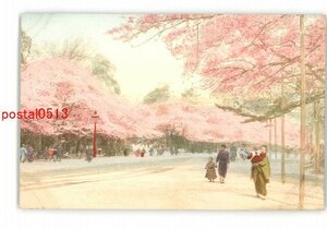 XyM2394●東京 手彩色 桜の上野公園？ *傷み有り【絵葉書】