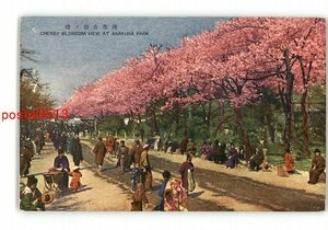 XyN3530●東京 浅草公園の桜 *エンタイア *傷み有り【絵葉書】