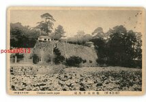 XyM9141●島根 松江名所 亀田山千鳥城 *傷み有り【絵葉書】_画像1