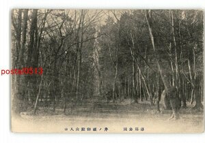 XyM6386●東京 恩賜公園 井ノ頭御殿山入口 *傷み有り【絵葉書】