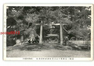 XyQ1878●島根 隠岐一宮国幣中社水若酢神社社頭老松 *傷み有り【絵葉書】