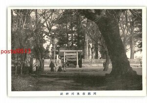 XyO5153●埼玉 川越市氷川神社 *傷み有り【絵葉書】