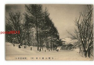 XyP2602●北海道 小樽公園の雪 4 *傷み有り【絵葉書】