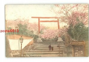 XyQ8820●神奈川 手彩色 横浜 鳥居と桜 *傷み有り【絵葉書】