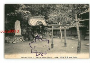 XyR8244●東京 武州高尾山 鎮守神社 その14 *傷み有り【絵葉書】