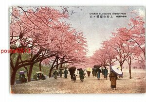 XyS5742●東京 帝都の桜花 上野公園桜ヶ丘 *傷み有り【絵葉書】