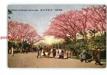 XyS5744●東京 帝都の桜花 日比谷公園 *傷み有り【絵葉書】_画像1