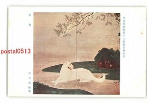 XyR3727●日本美術院第16回展覧会出品 白狗 中村岳陵筆 *傷み有り【絵葉書】