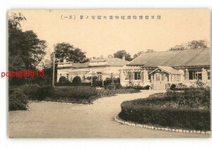 XyS7536●満州 関東庁博物館植物園内温室の景 その1 *傷み有り【絵葉書】