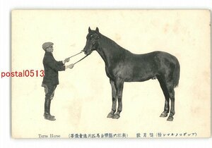 XyS9354●アングロノルマン種 ■月号 奥羽6県連合馬匹共進会優等 *傷み有り【絵葉書】