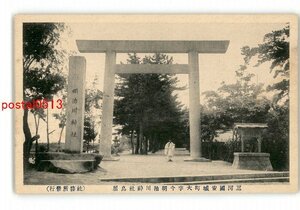 XyS7382●愛知 三河国安城町大字今明治川神社鳥居 *傷み有り【絵葉書】