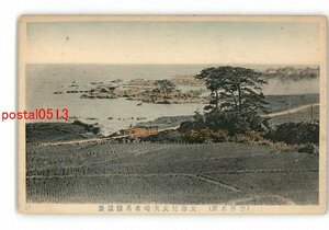 XyS3277●千葉 手彩色 安房名所 太海村太夫崎名馬橋遠景 *傷み有り【絵葉書】