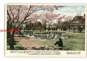 XyU9960●満州 大連 星ヶ浦公園の桜花 *傷み有り【絵葉書】