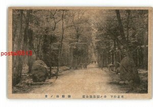 XyV3276●東京 東京府下 井の頭恩賜公園 御殿山の景 *傷み有り【絵葉書】