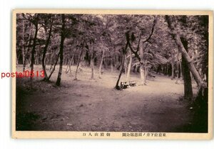 XyV3044●東京 東京府下井の頭恩賜公園 御殿山入口 *傷み有り【絵葉書】