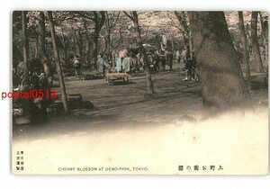 XyU8542●東京 手彩色 上野公園の桜 *傷み有り【絵葉書】